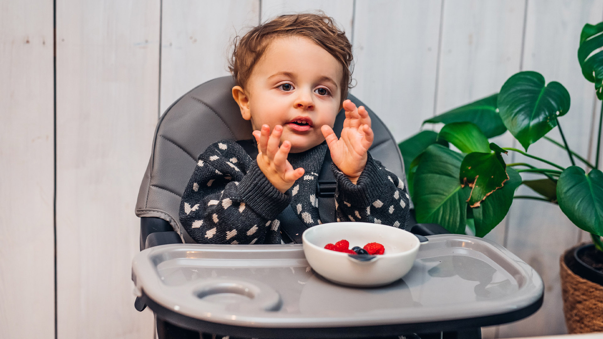 Which feeding chair to buy?